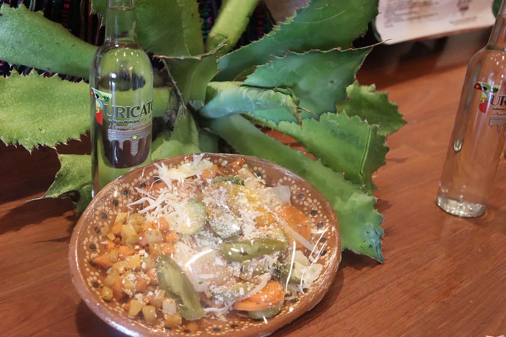 rueda de prensa Festival del Mezcal y la Enchilada de turicato