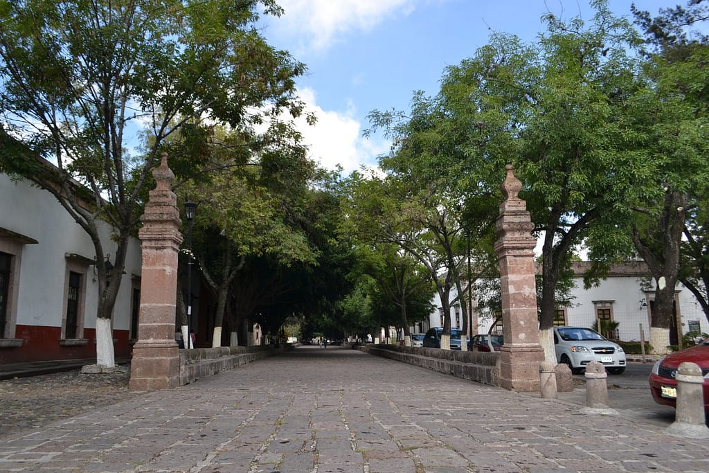 Calzada de Guadalupe o Fray Antonio de San Miguel