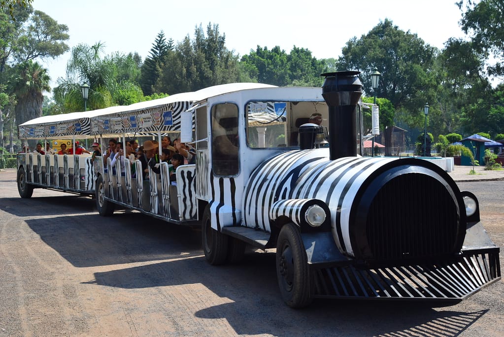 Recorrido en tren por el zoológico de Morelia