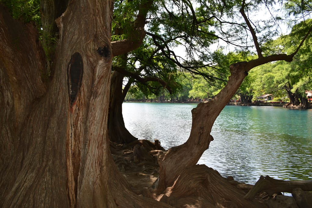 lago de camecuaro en michoacan