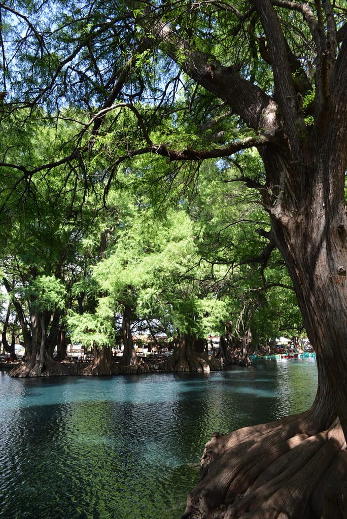 lago de camecuaro en michoacan