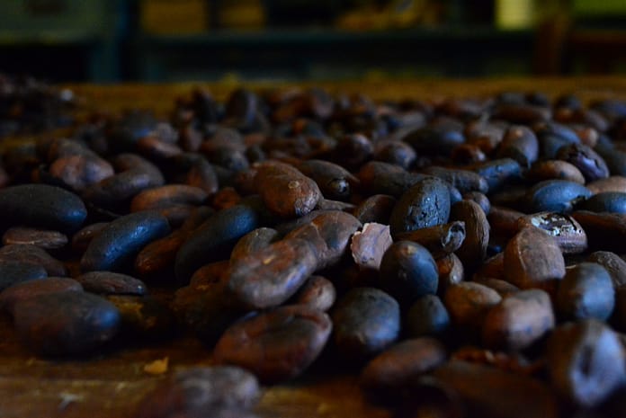 café la guarecita