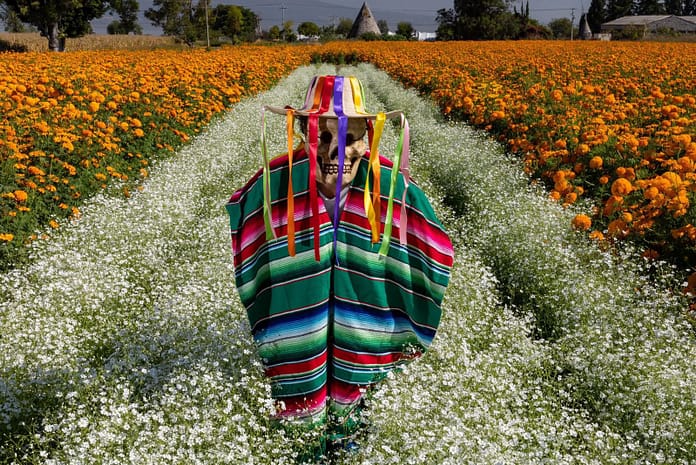 festival de las flores en Copándaro