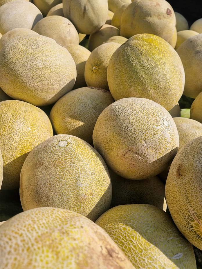 Feria del Melón 2026