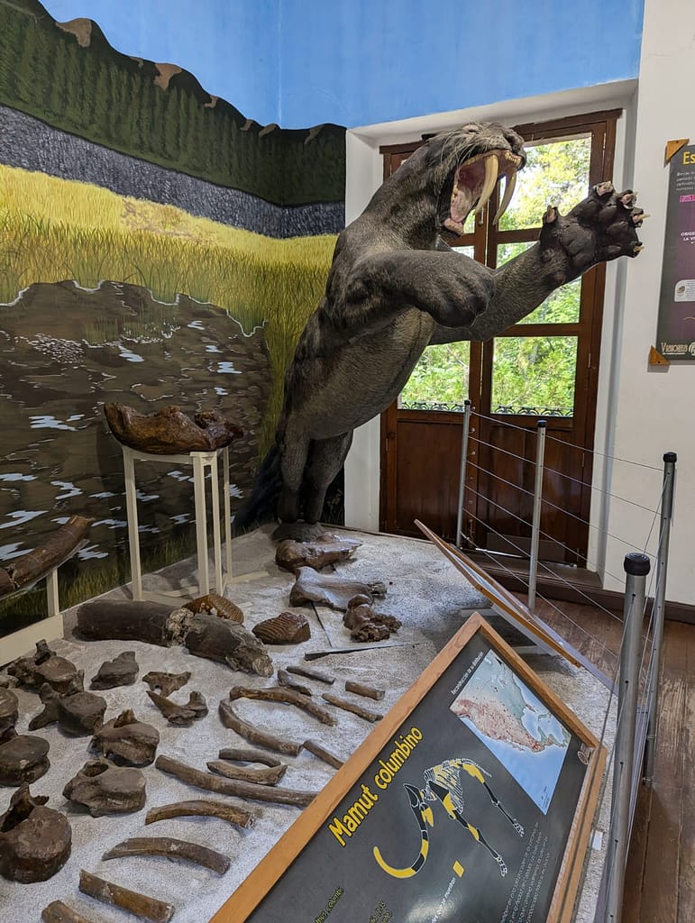 Museo de Historia Natural