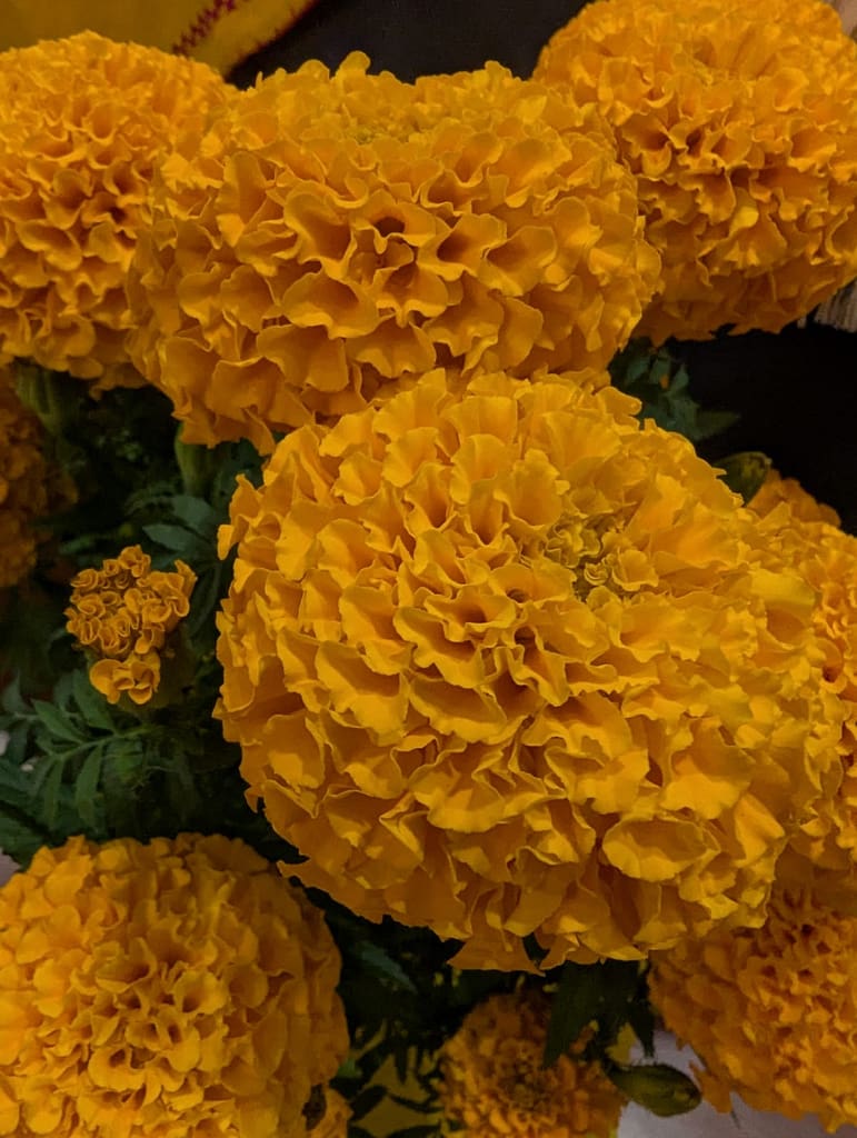 Dia de muertos en Erongarícuaro